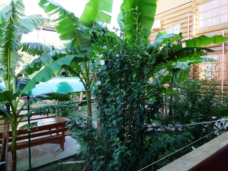 Гостевой Дом "Сария" Otel #YOK Dış mekan fotoğraf