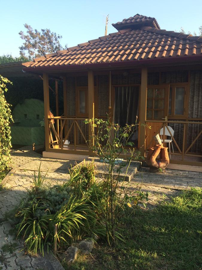 Гостевой Дом "Сария" Otel #YOK Dış mekan fotoğraf