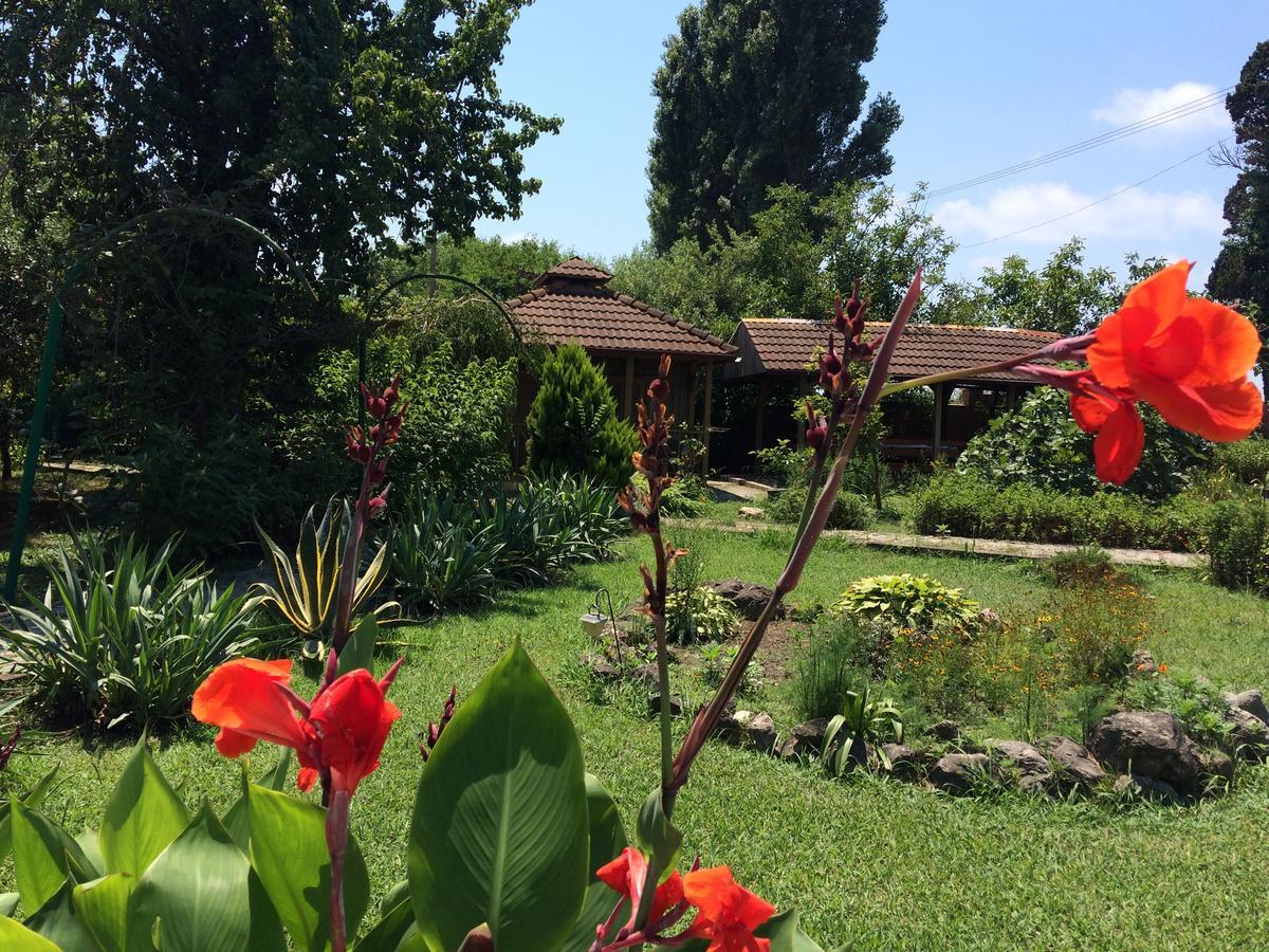 Гостевой Дом "Сария" Otel #YOK Dış mekan fotoğraf