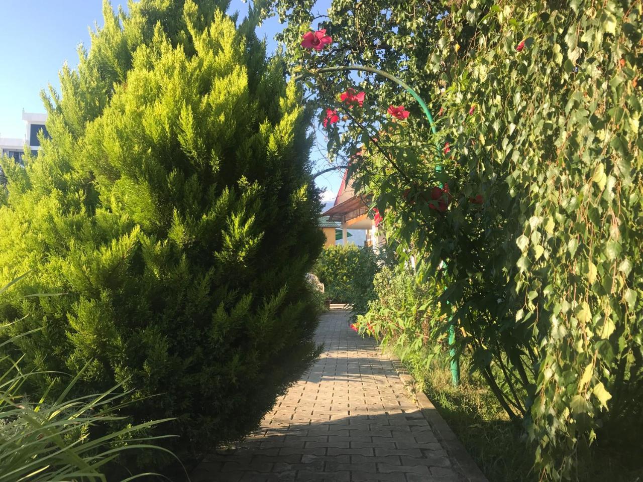 Гостевой Дом "Сария" Otel #YOK Dış mekan fotoğraf